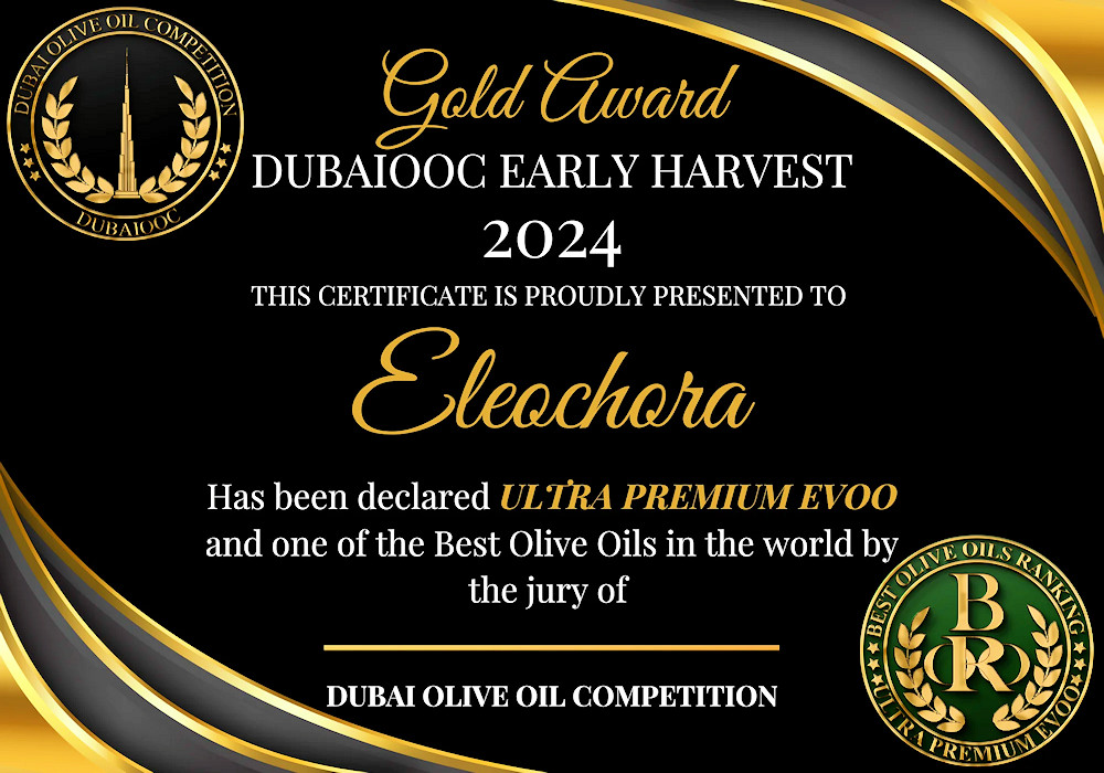 DOOC 2024 Award Certificate